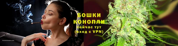 ПСИЛОЦИБИНОВЫЕ ГРИБЫ Аркадак