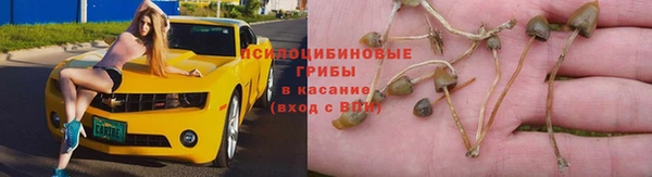 ПСИЛОЦИБИНОВЫЕ ГРИБЫ Аркадак