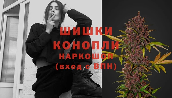 ПСИЛОЦИБИНОВЫЕ ГРИБЫ Аркадак