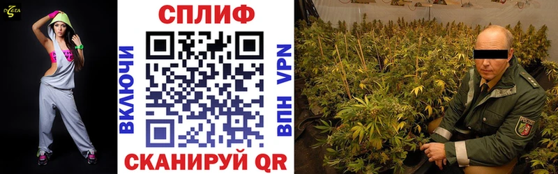 Каннабис тримм  Тверь 
